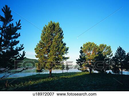 Stock Photo - Travel Destinations, Day, Outdoor, Light, Lush Foliage, Sunset. Fotosearch