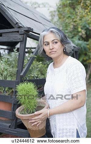 Side profile of a mature woman holding a potted plant View Large Photo Image Stock Image - Side profile of a mature woman holding a potted plant. Fotosearch