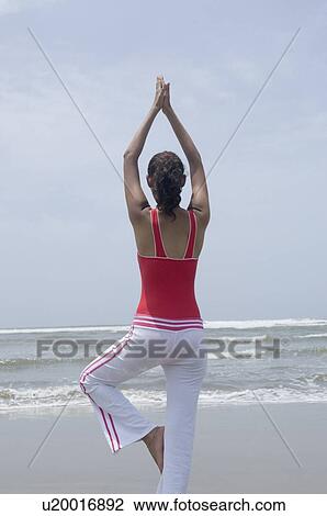 Rear view of a young woman standing in a tree pose on the beach View Large Photo Image Stock Image - Rear view of a young woman standing in a tree pose on the beach. Fotosearch